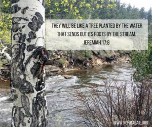 Drought of the Spirit scripture