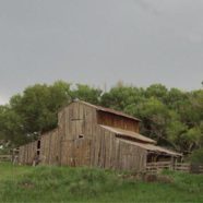 A True Love Story of the Old West: Archie & Laeuna