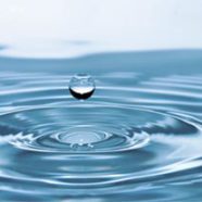 A Trickle that Leads to a Flood – A 2MefromHim Devotional