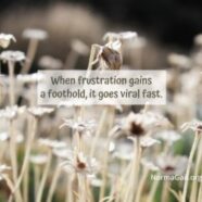 When that Frustrated Feeling Goes Viral 1 – FB