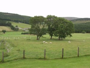 Kieran MacDonell - near Corgarff Castle