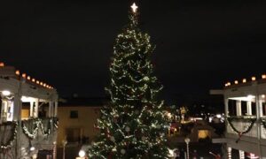 Christmas Tree, Old Town Albuquerque, New Mexico